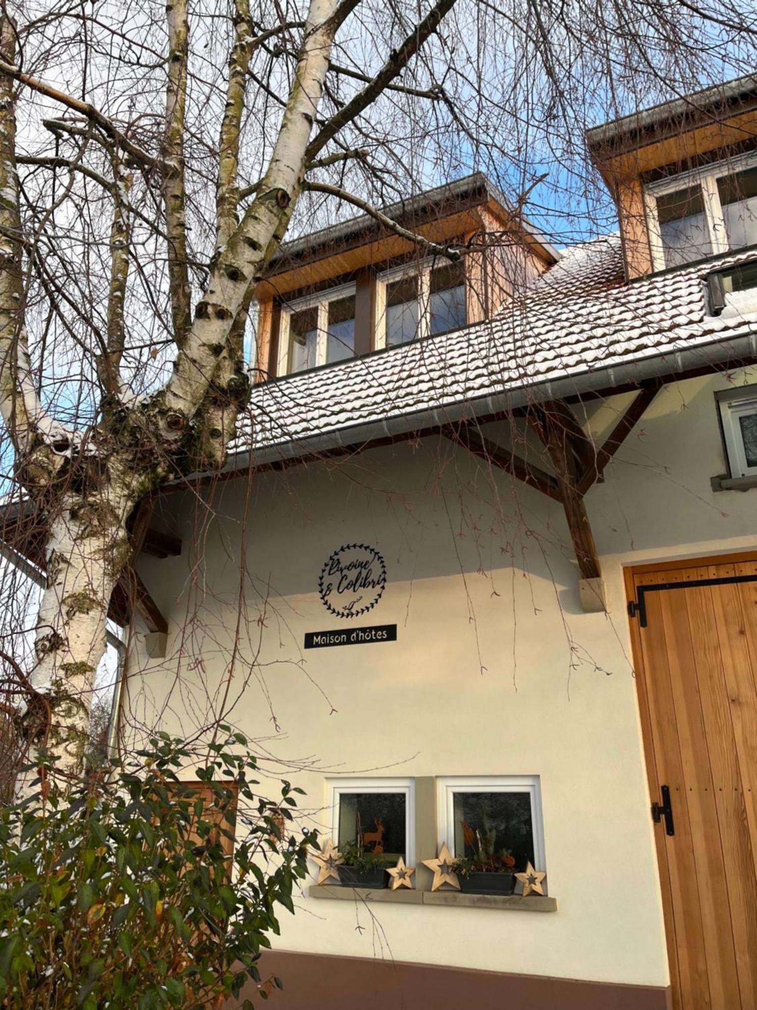 Maison D Hotes Spa Pivoine Et Colibri Domfessel Dış mekan fotoğraf