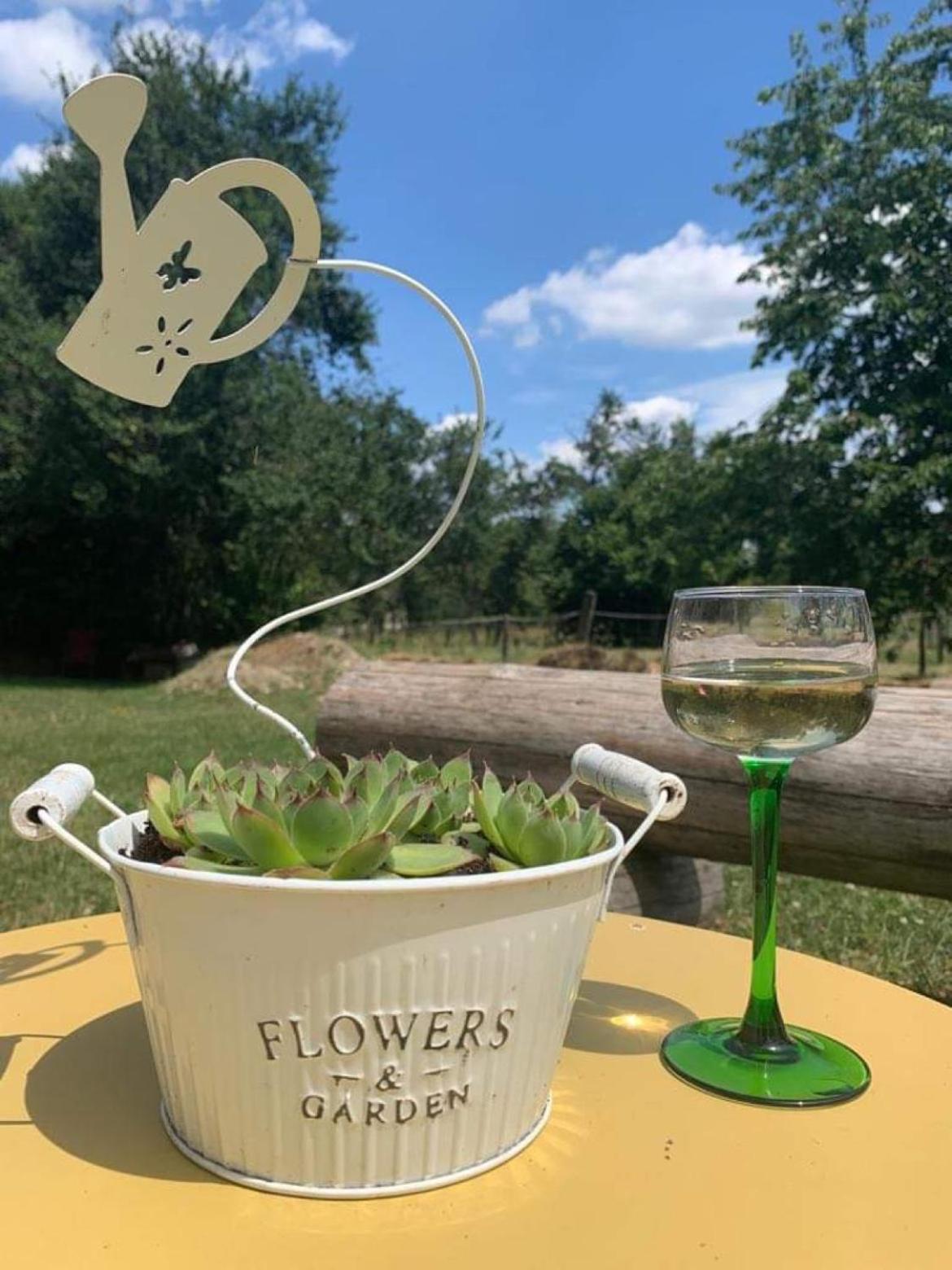 Maison D Hotes Spa Pivoine Et Colibri Domfessel Dış mekan fotoğraf
